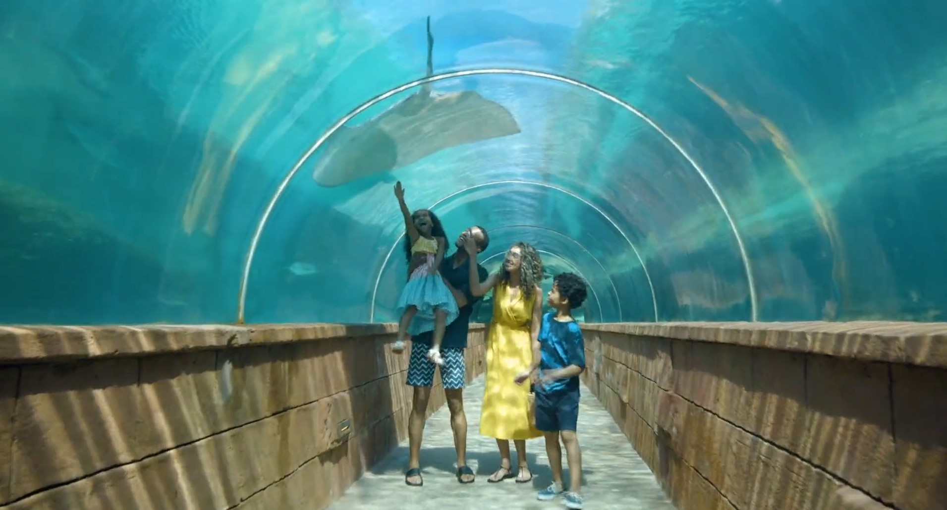 Atlantis tunnel aquarium